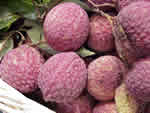 Emperor Lychee Fruit